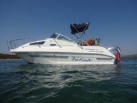 20 Yachtline auf kroatischer See mit Familie an Board